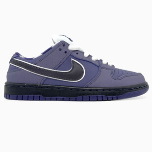 Nike SB Dunk Purple