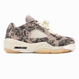 Nike Air Jordan 5 Expressions
