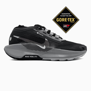 Nike Pegasus Trail 5 Gore-Tex Black/Crey