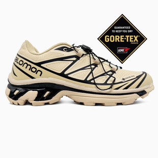 Salomon XT-6 Beige Gore-Tex